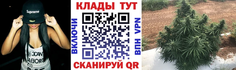 Наркошоп Новошахтинск КОКАИН omg ссылки Гашиш