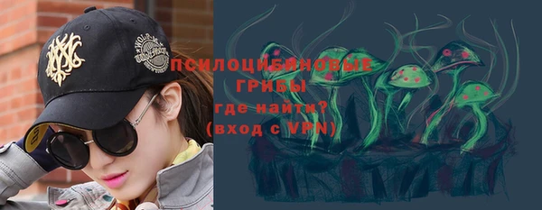 твердый Михайлов