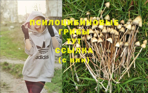 скорость Алзамай