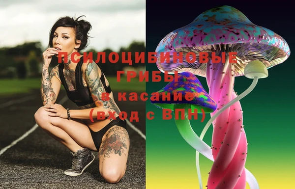 скорость Алзамай