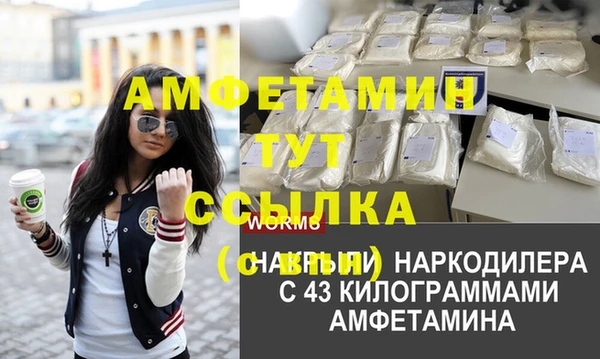 скорость Алзамай