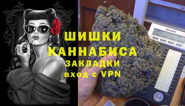твердый Михайлов