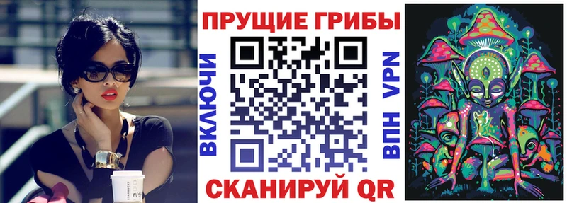 Галлюциногенные грибы мицелий  Новошахтинск 