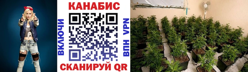 Канабис SATIVA & INDICA  цены наркотик  Новошахтинск 